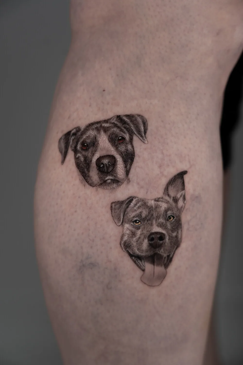 Pet portrait tattoo