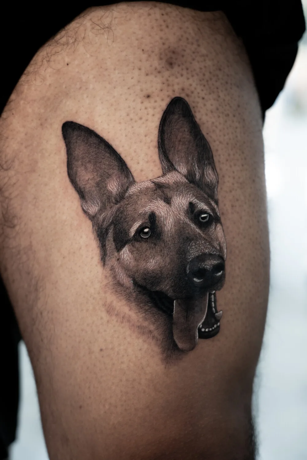 Shepherd dog tattoo portrait