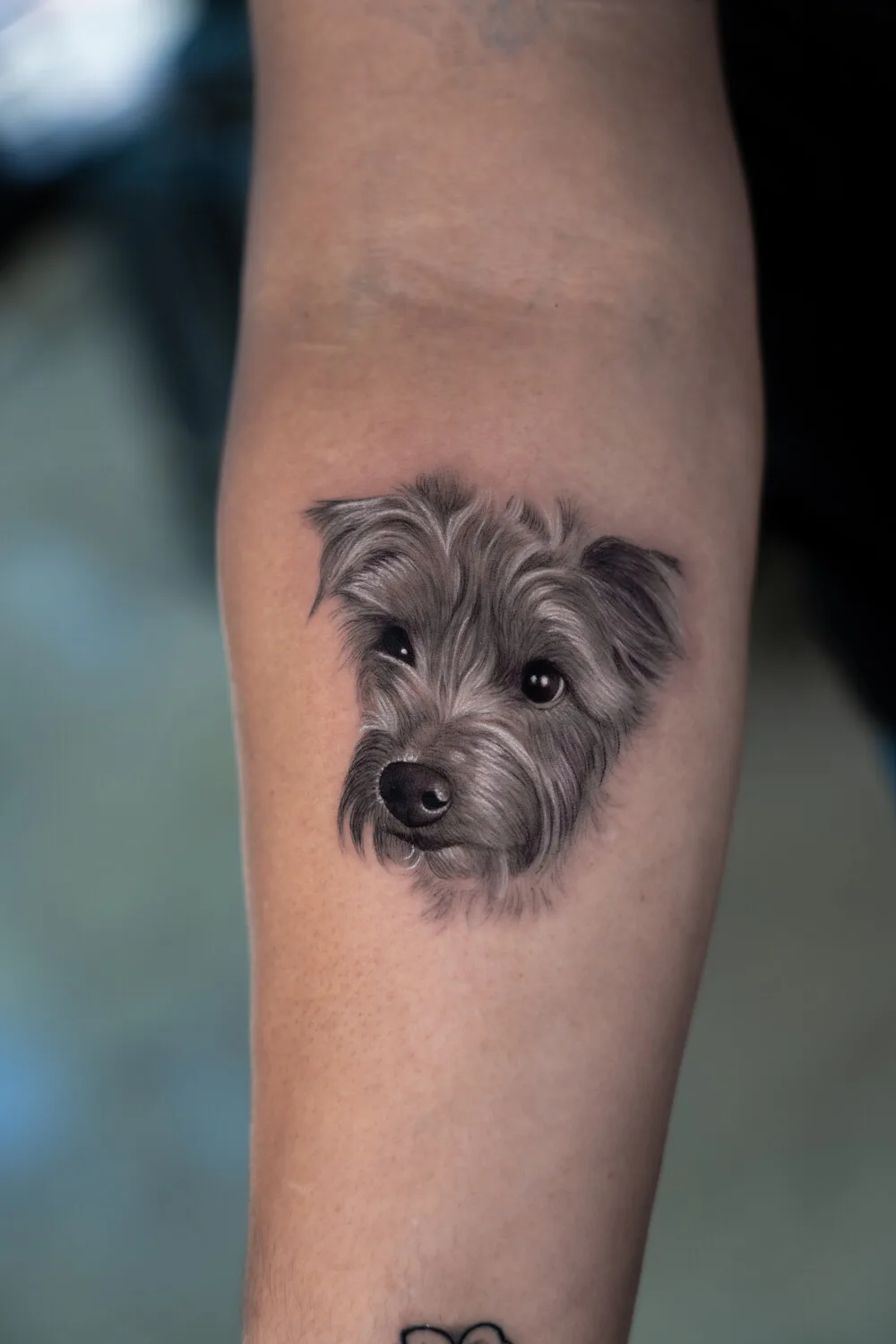 Black and gray dog portrait tattoo
