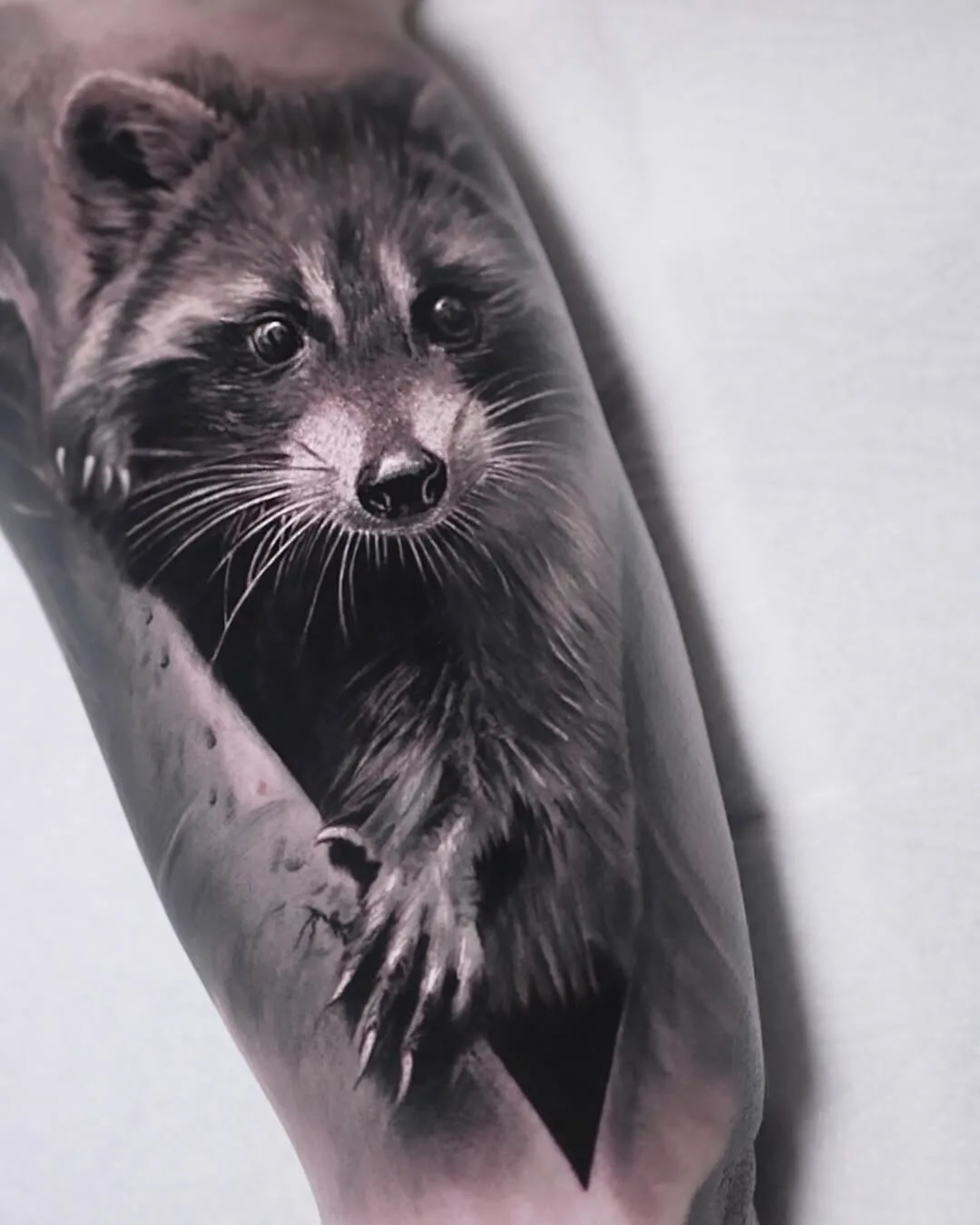 Black and gray realism raccoon tattoo