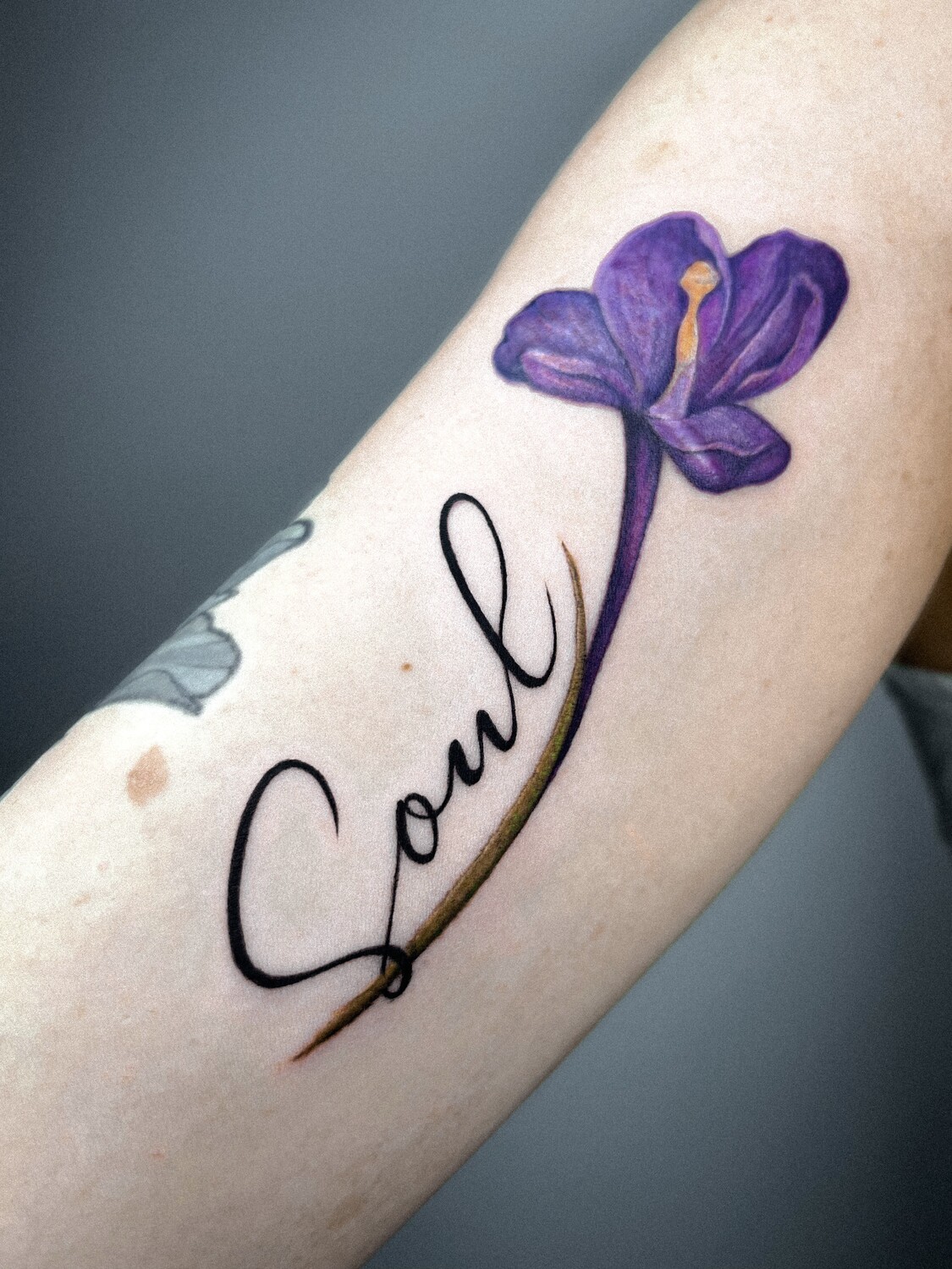 Tattoo by Fineline Tattoo Gallery at Fineline Tattoo Gallery