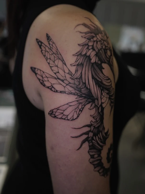 Linework Insect, Wings tattoo on Shoulder