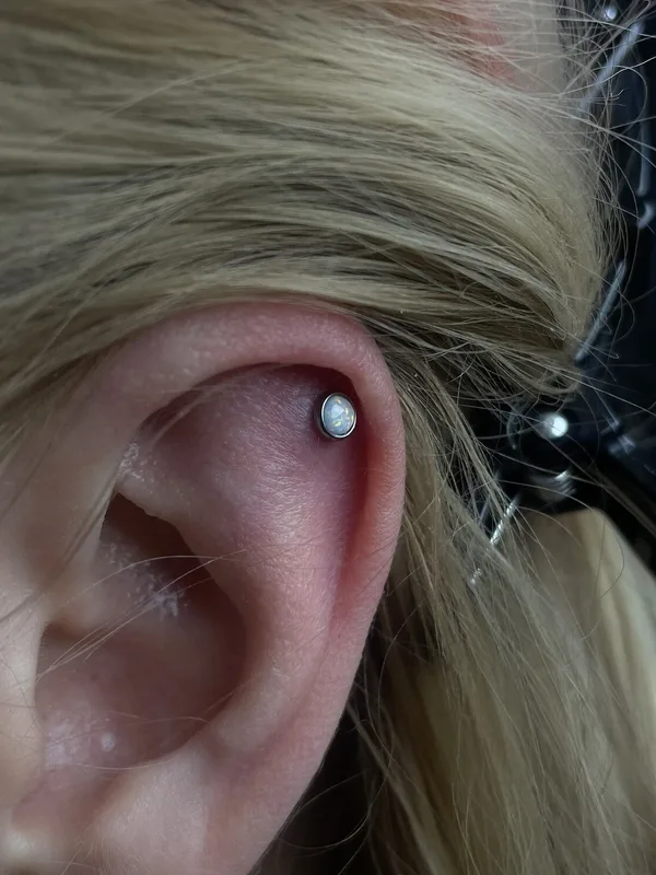 color Tatuaggio su ear #101220 | Tatuatore Christina Executor
