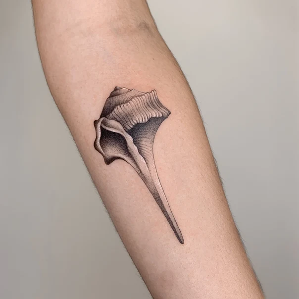 Dotwork Shell tattoo on Forearm