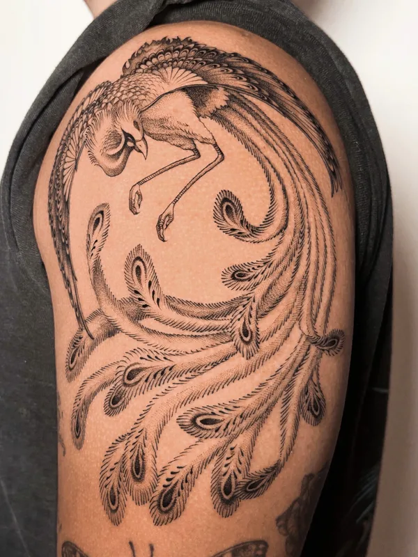 black and grey linework татуировка на upper arm #101596 | Тату мастер Maayan Ben Porat