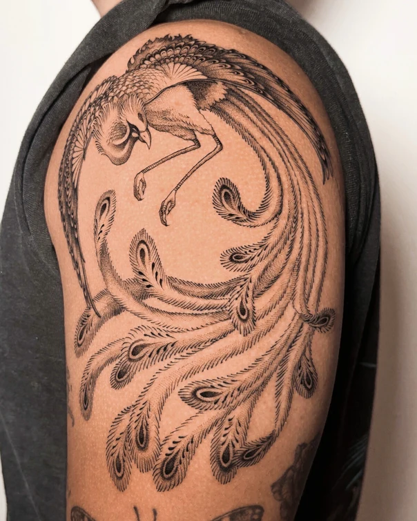Linework Bird, Feathers tattoo on Upper Arm