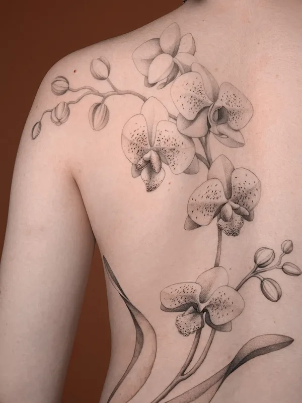 female black and grey black and grey татуировка на shoulder blade #101601 | Тату мастер Maayan Ben Porat