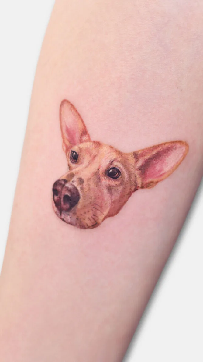 Living Botanical Tattoos by Anastasiia Kravets - image 10