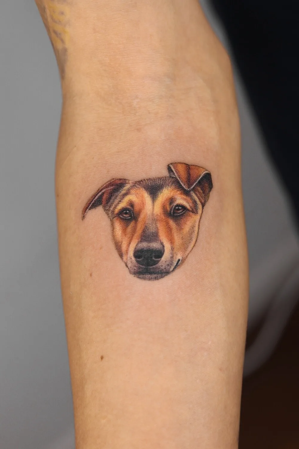 Living Botanical Tattoos by Anastasiia Kravets - image 16
