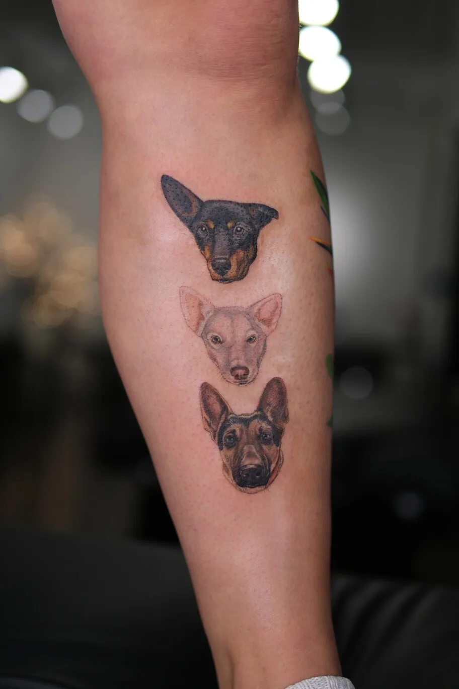 Living Botanical Tattoos by Anastasiia Kravets - image 17
