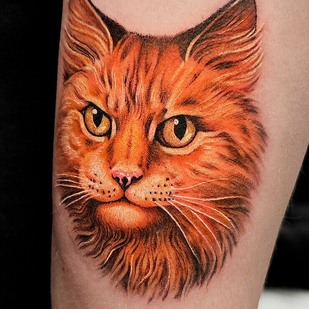 🔥 Горячие фото, портфолио модели  #99499  