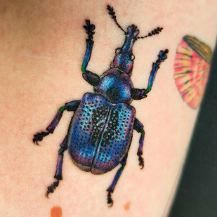 🔥 Горячие фото, портфолио модели  #99502  