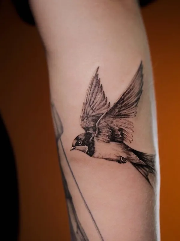 female blackandgrey microrealism tattoo auf forearm #94051 | Tätowierer Juliaavoo