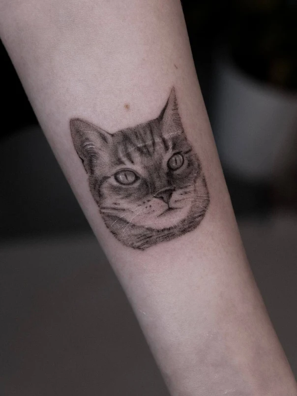 Realism Cat tattoo on Forearm
