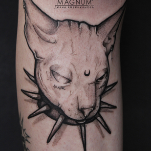 🔥 Горячие фото, портфолио модели  #96077  