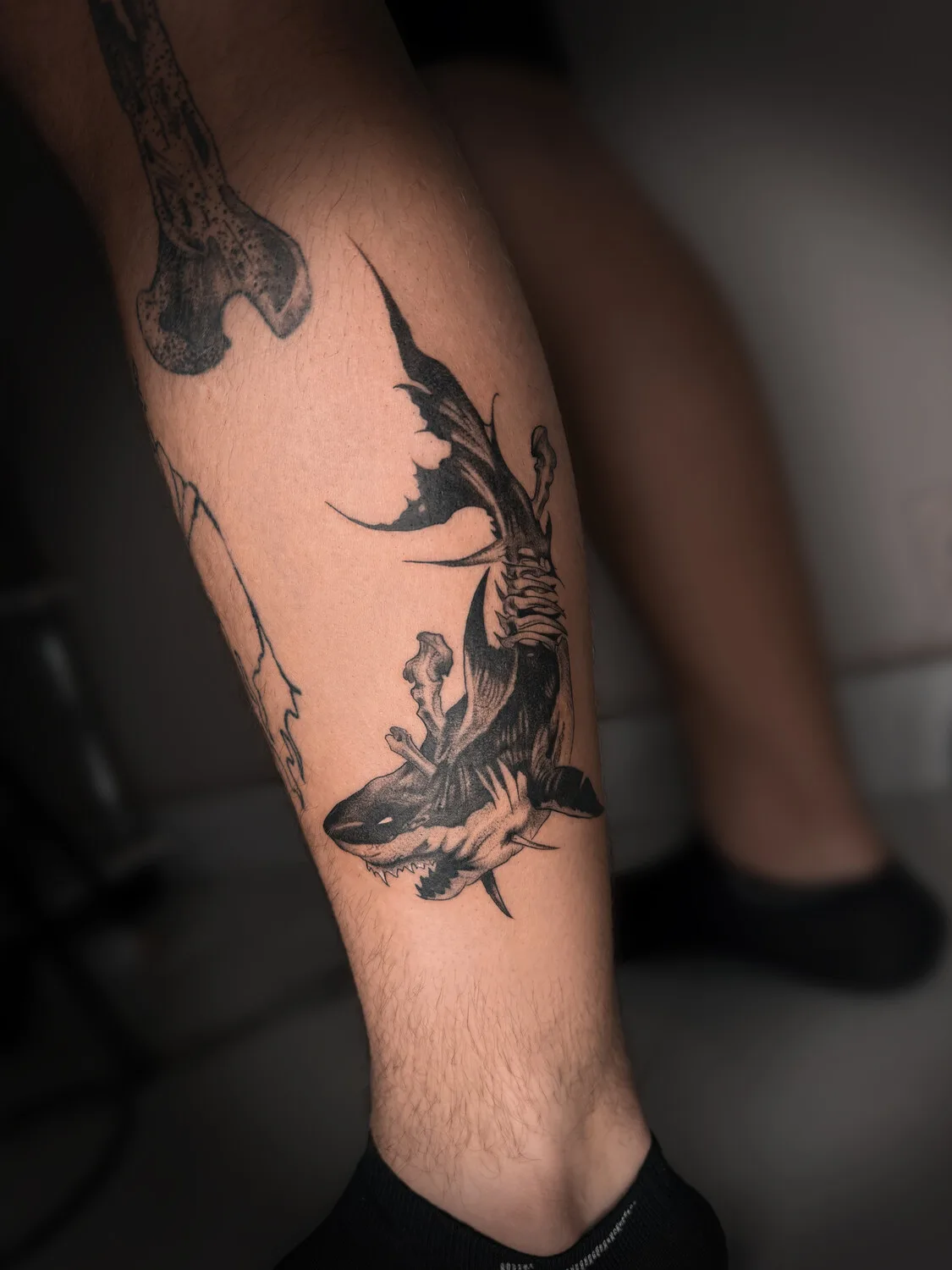 A dark illustrative black and grey tattoo of a shark with its skeletal structure visible, rendered in a bold and graphic style.