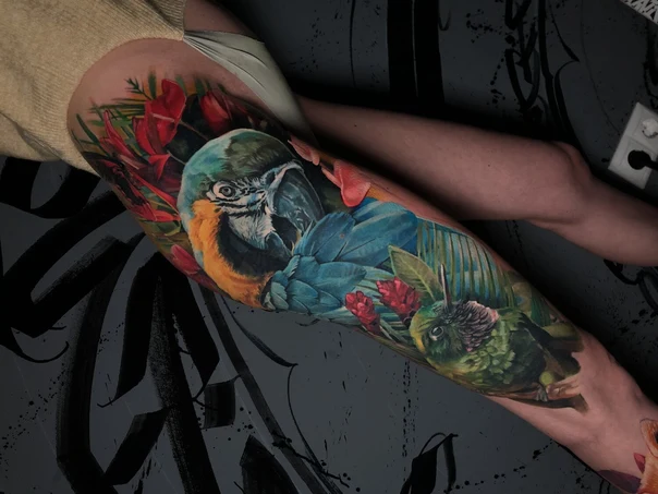 Реализм Parrot, Hummingbird tattoo на Полный рукав
