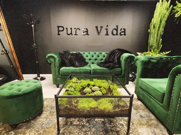 Pura Vida Bogotá Tattoo Estudio