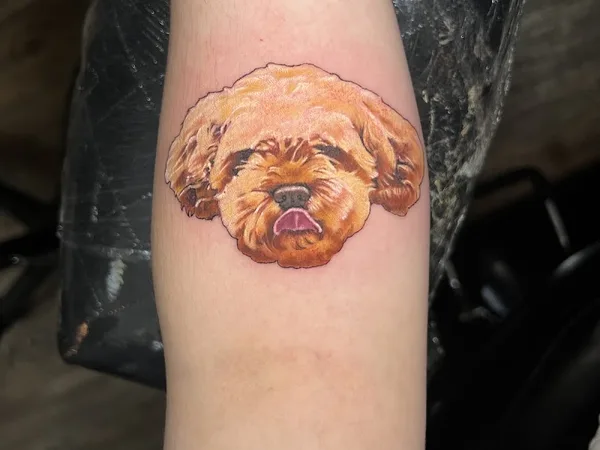 Red rabbit tattoo studio