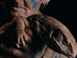Il Volto della Libertà — Artista Vladimir Spartak