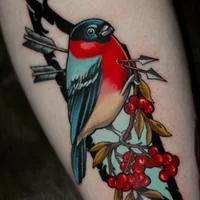 50 tattoos, тату-салон
