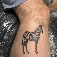 Frank Tattoo ke