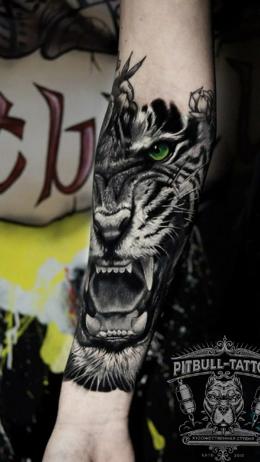 Tattoo by 50 tattoos, тату-салон at 50 tattoos, тату-салон