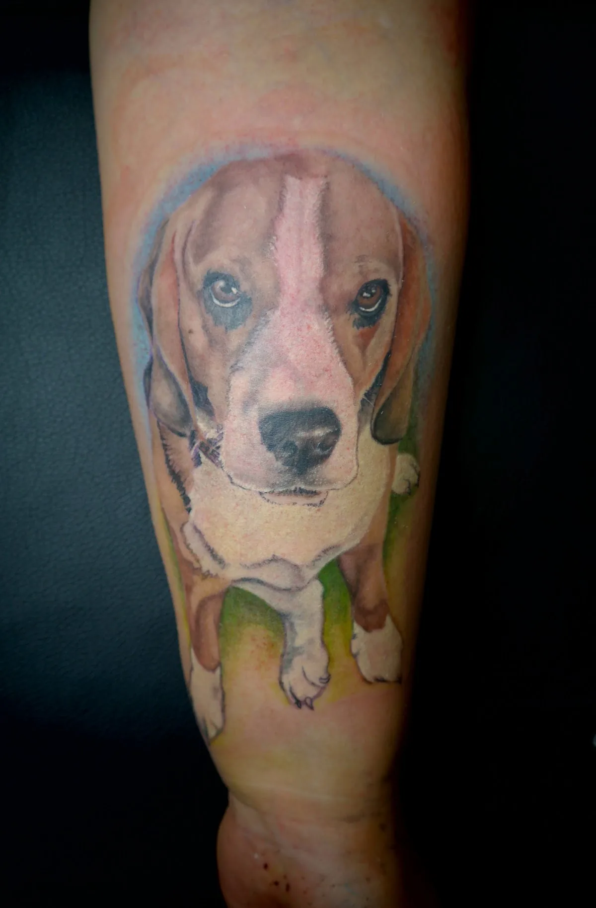 Tattoo by Абрис, тату-студия at Абрис, тату-студия