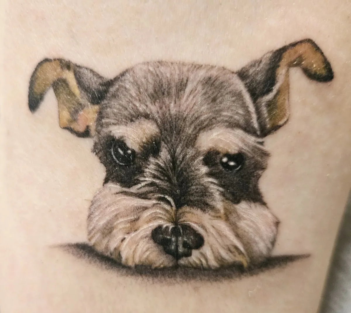 Tattoo by Alice Tattoo Studio at Alice Tattoo Studio