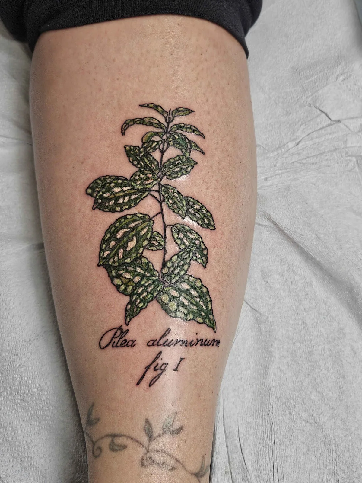 Tattoo by Anatomy Tattoo at Anatomy Tattoo