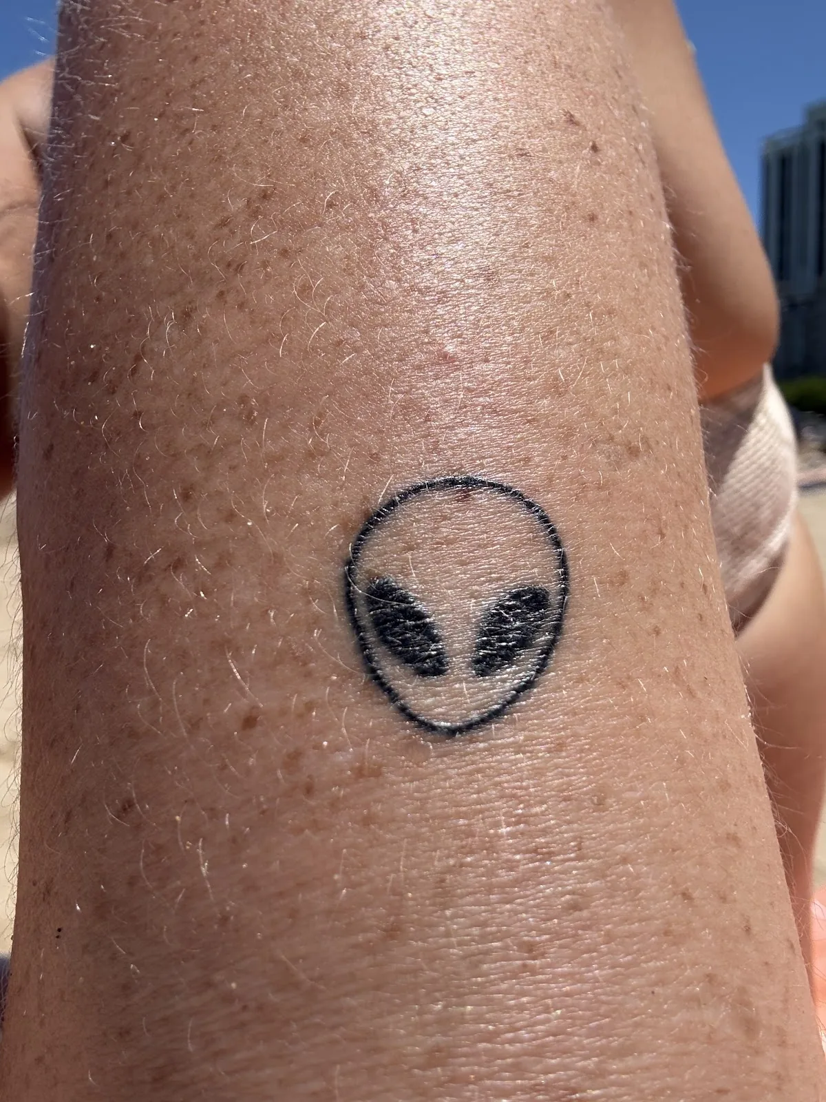 Tattoo by Animal Farm Tattoo at Animal Farm Tattoo