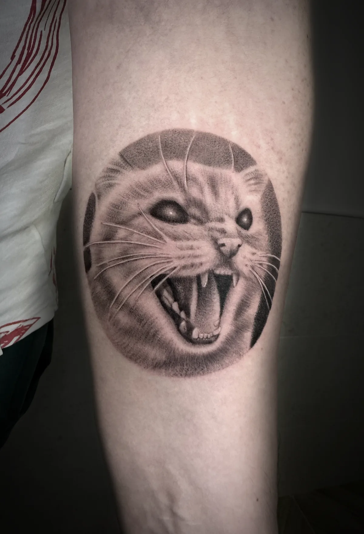 Tattoo by AQT Tattoo, салон at AQT Tattoo, салон