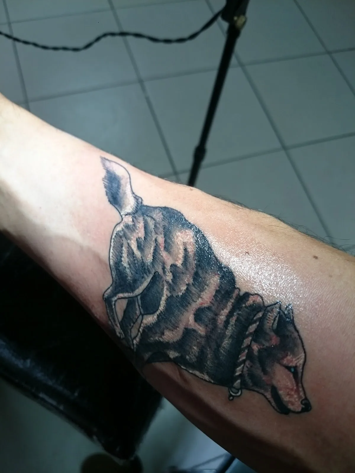 Tattoo by ARKHAM TATTOO BOGOTÁ at ARKHAM TATTOO BOGOTÁ