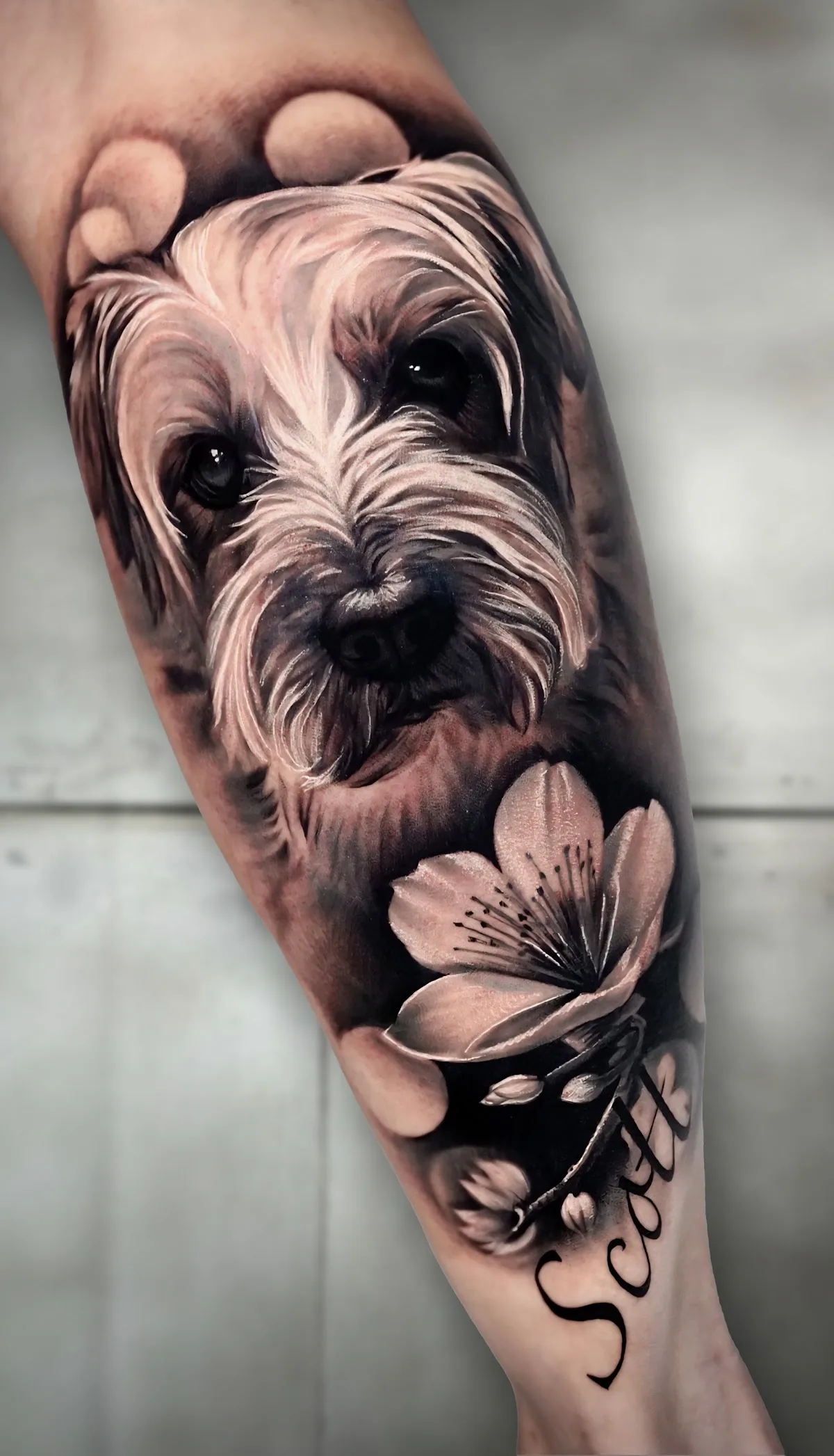 Tattoo by Bamboo Tattoo Studio & Piercing Shop Toronto at Bamboo Tattoo Studio & Piercing Shop Toronto