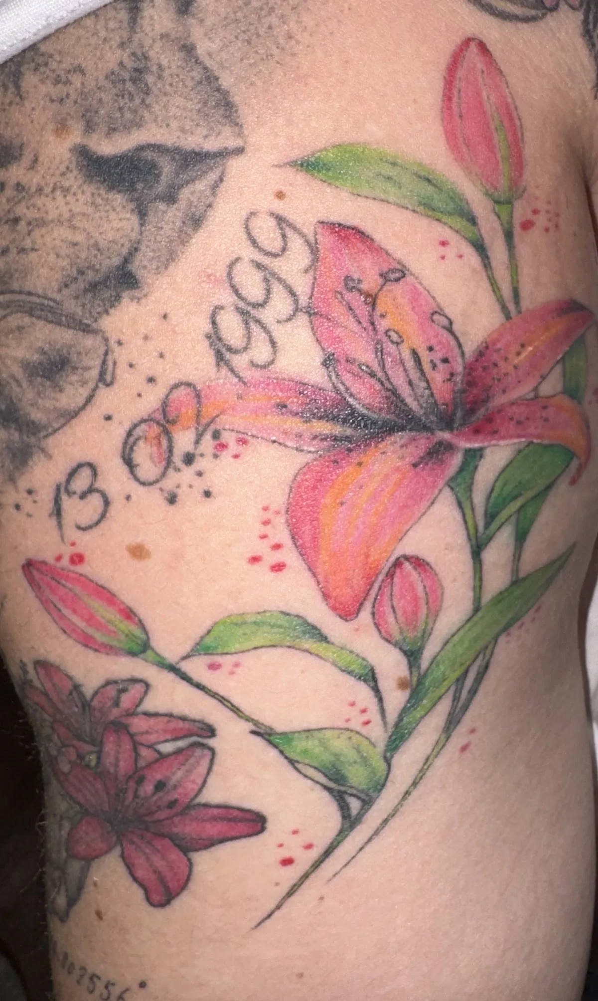 Tattoo by Black Palette Tattoo Co. at Black Palette Tattoo Co.