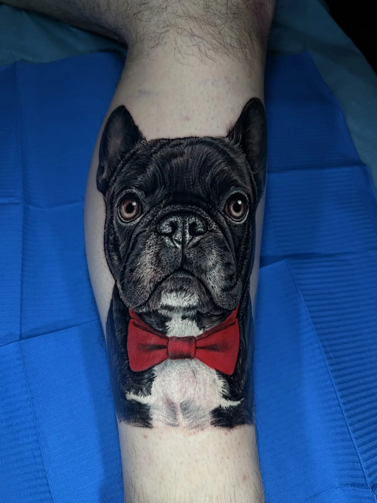 Tattoo by CARLOX ANGARITA GALLERY TATTOO at CARLOX ANGARITA GALLERY TATTOO