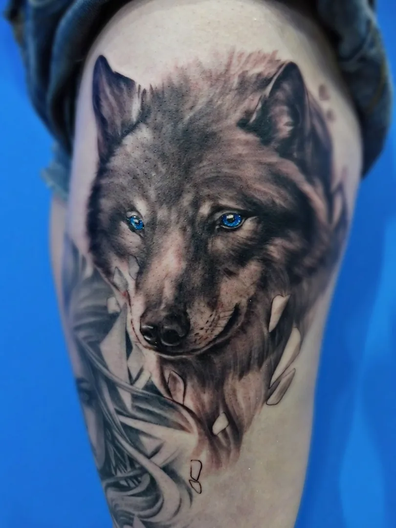 Tattoo by Chameleon, тату-салон at Chameleon, тату-салон
