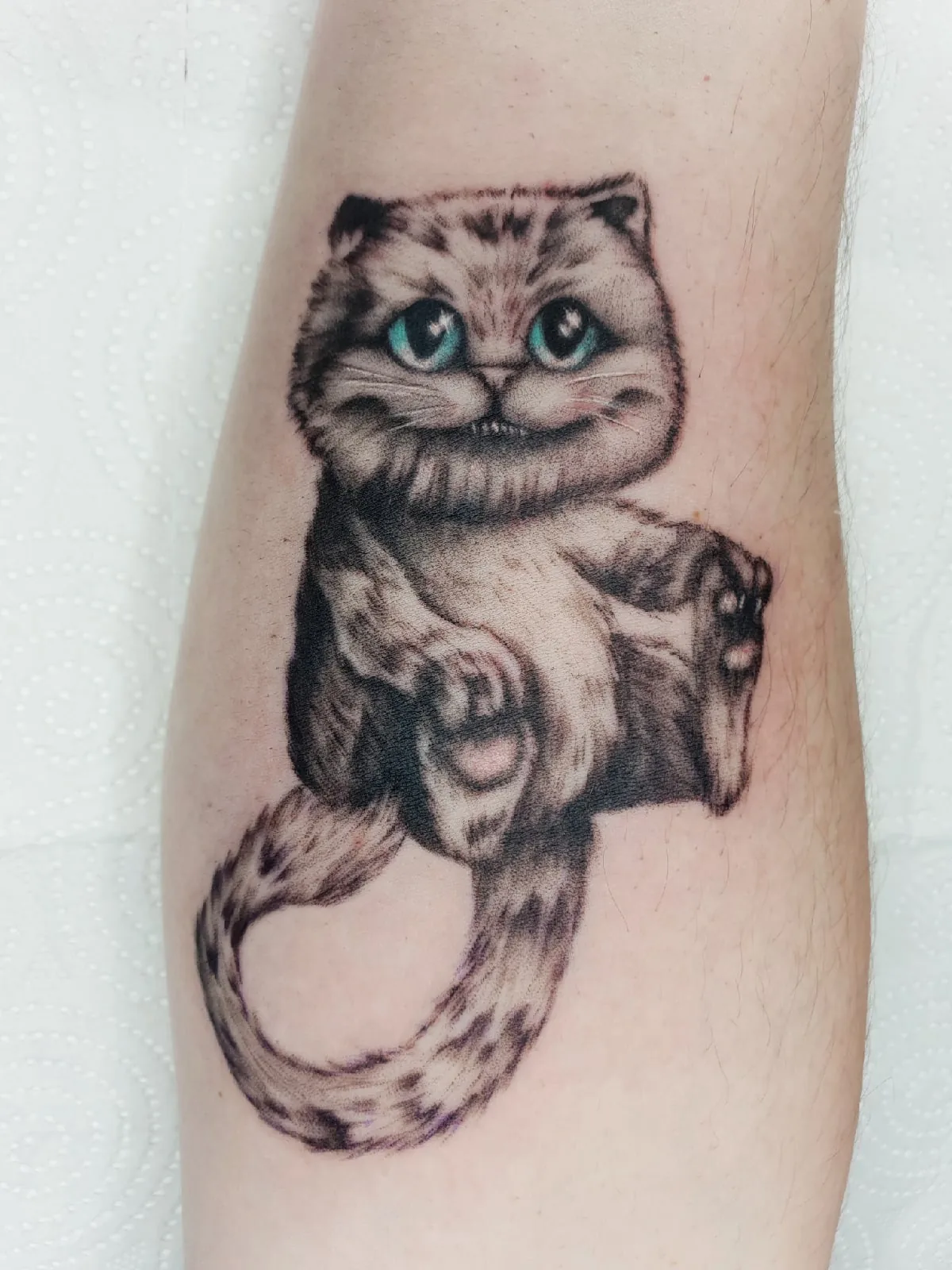 Tattoo by Cheshirskii, тату-салон at Cheshirskii, тату-салон