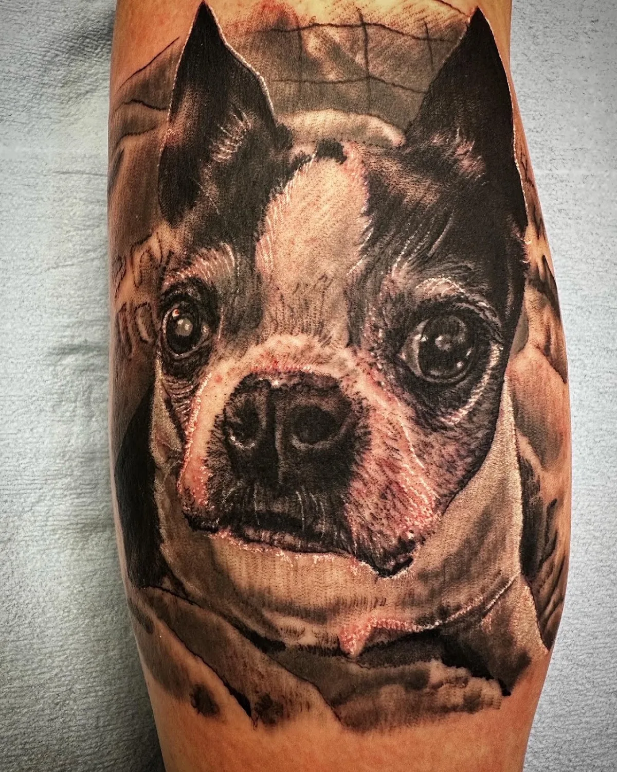 Tattoo by D C Tattoos at D C Tattoos
