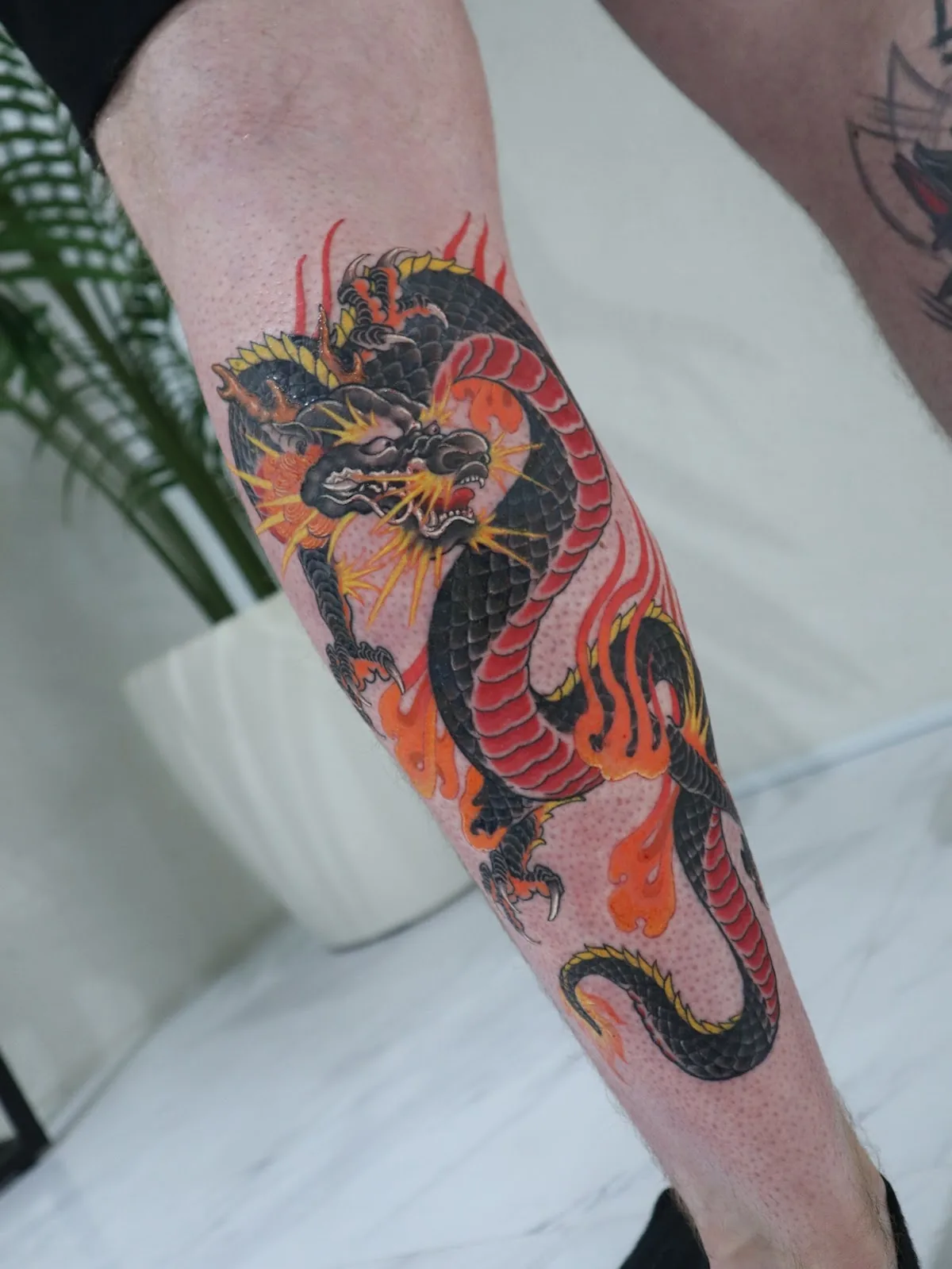 Tattoo by 彫富刺青 TOMI TATTOO at 彫富刺青 TOMI TATTOO