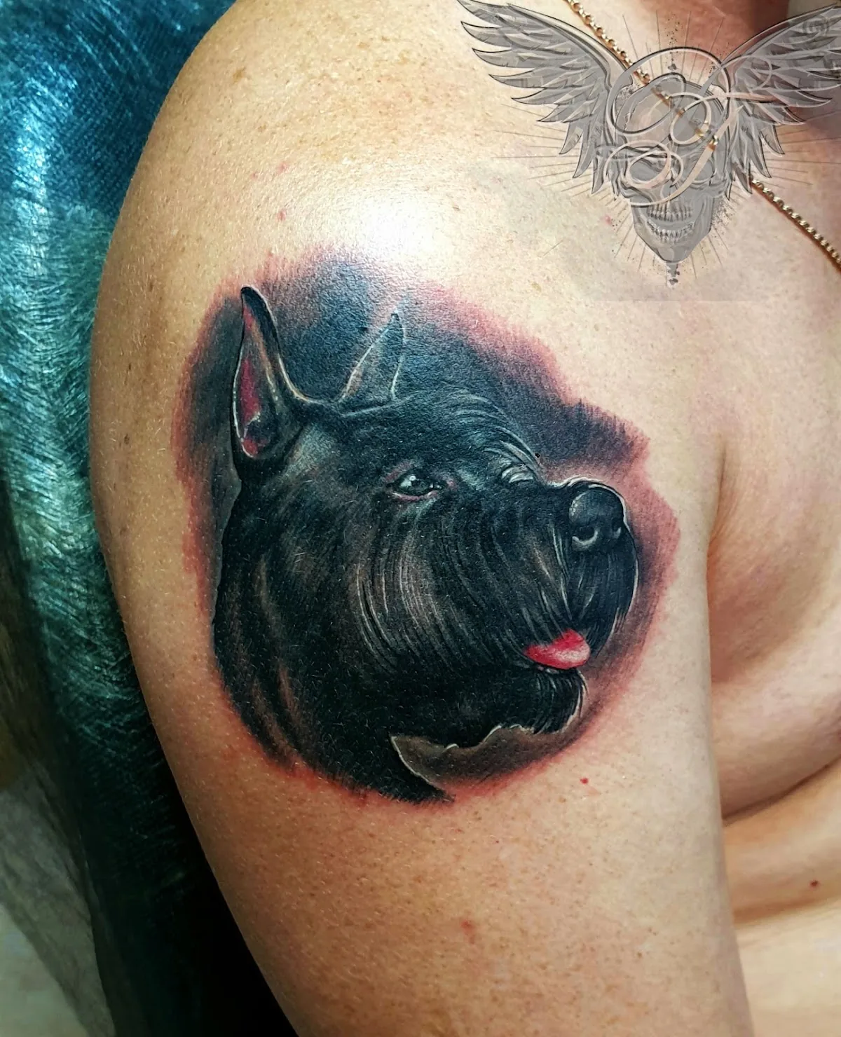 Tattoo by Dion, тату-салон at Dion, тату-салон