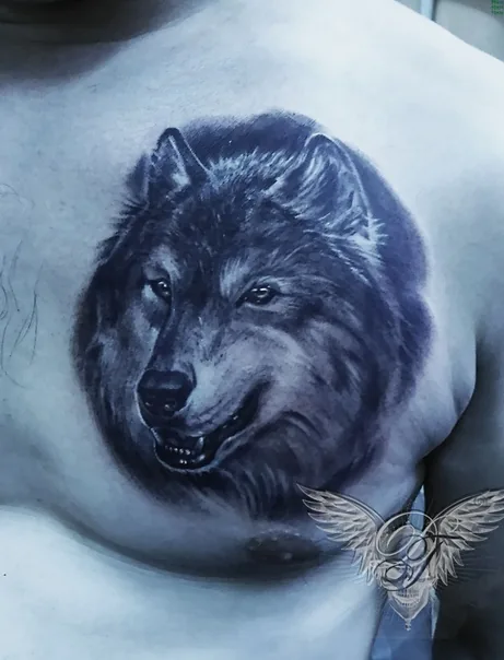 Tattoo by Dion, тату-салон at Dion, тату-салон