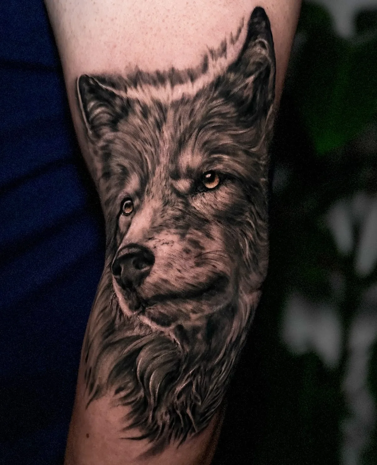 Tattoo by DiroKa Tattoo Studio at DiroKa Tattoo Studio