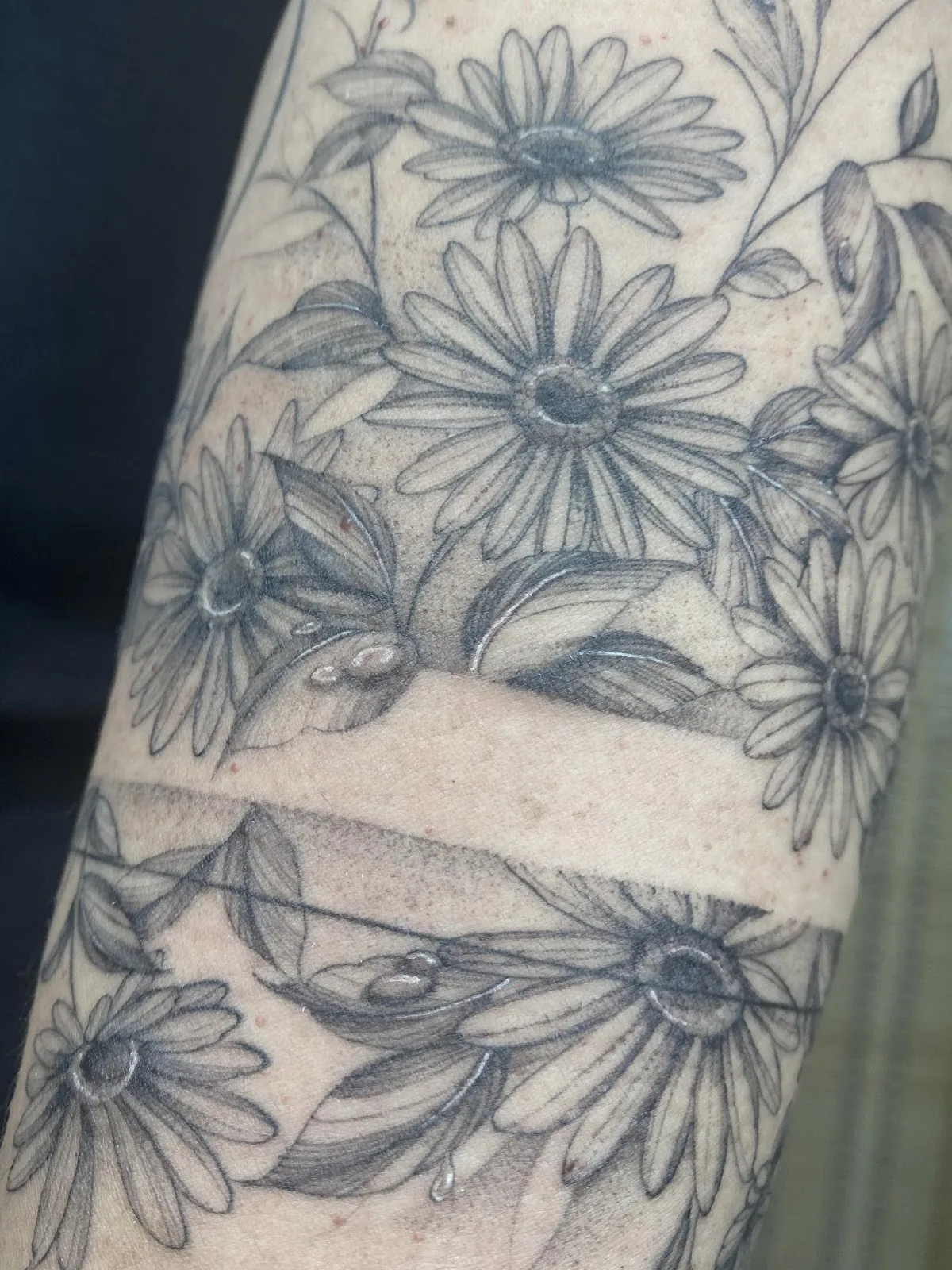 Tattoo by Dreamhouse Collective Tattoos at Dreamhouse Collective Tattoos