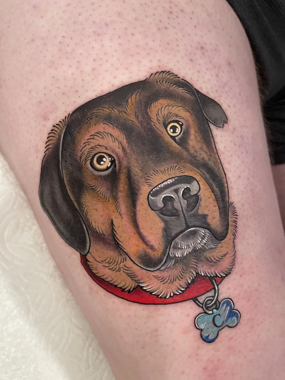 Tattoo by Ferngully Tattoo Studio at Ferngully Tattoo Studio