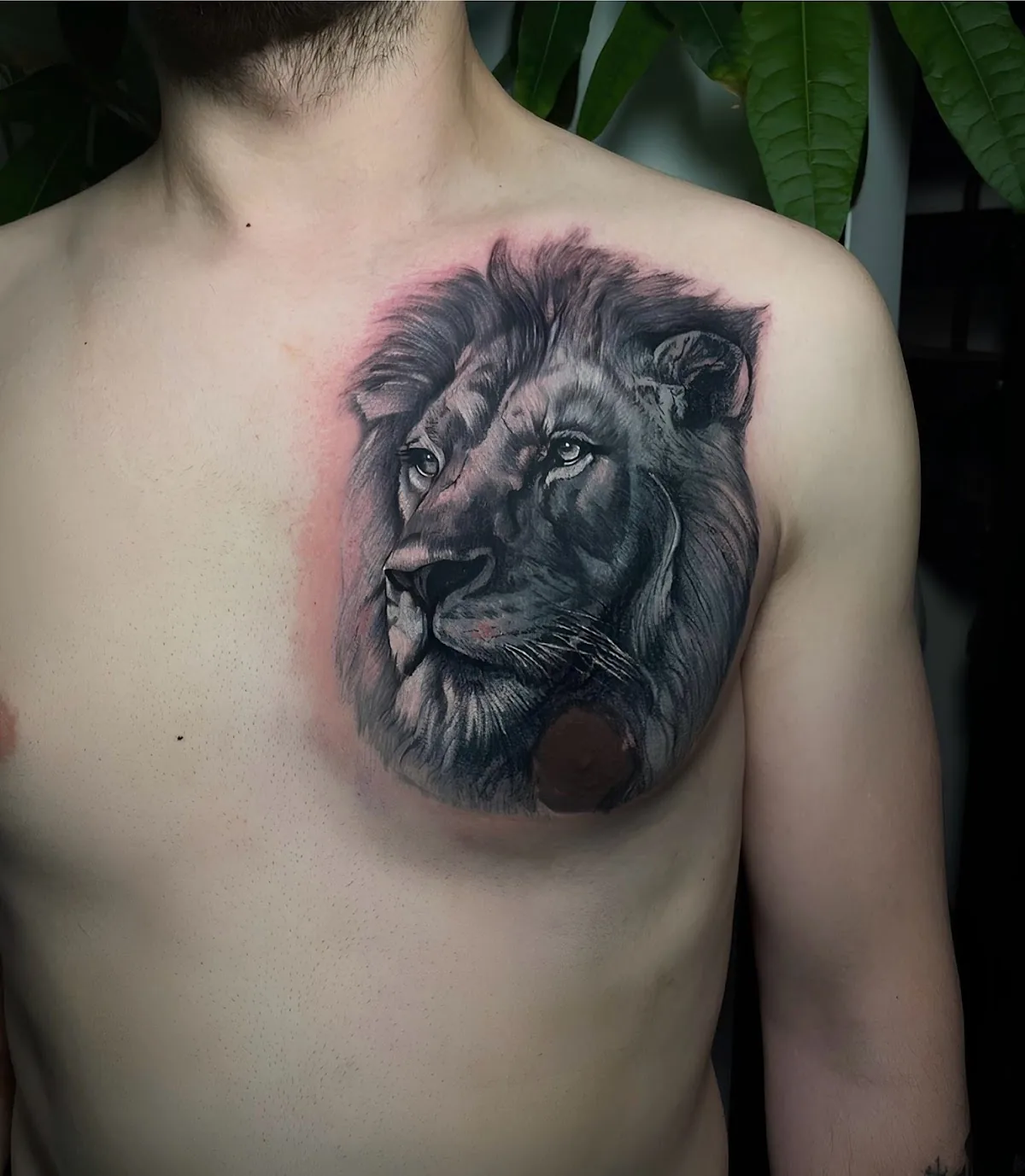 Tattoo by Gold Ink Tattoo Piercing at Gold Ink Tattoo Piercing