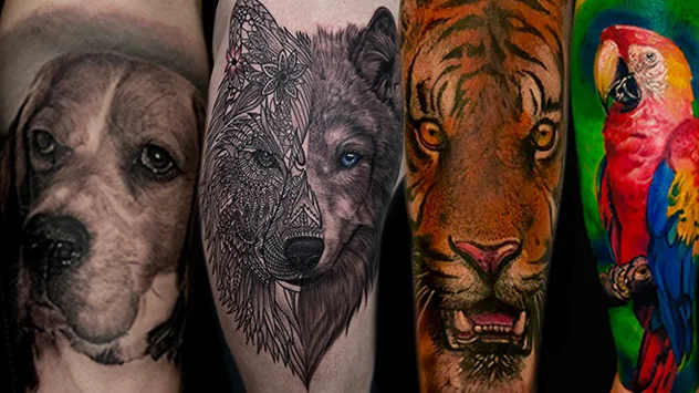 Tattoo by Harmony Colours Tattoo Studio at Harmony Colours Tattoo Studio