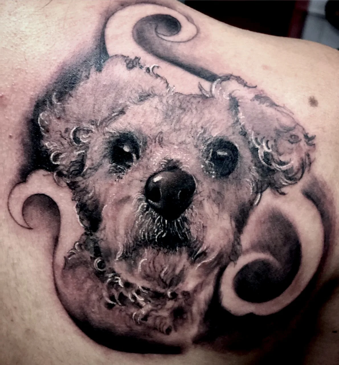 Tattoo by Harmony Colours Tattoo Studio at Harmony Colours Tattoo Studio
