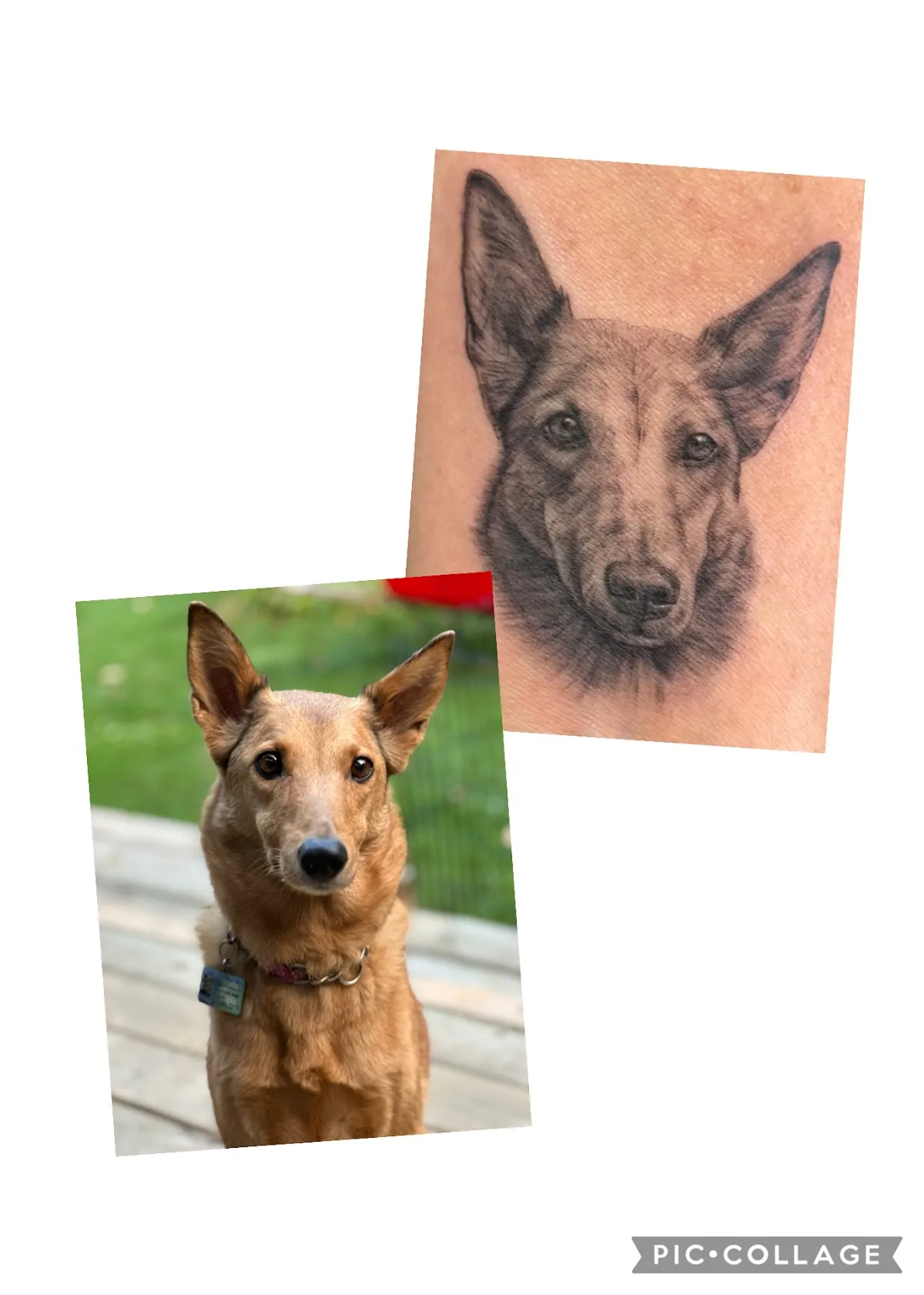 Tattoo by Icon Tattoo and Piercing at Icon Tattoo and Piercing