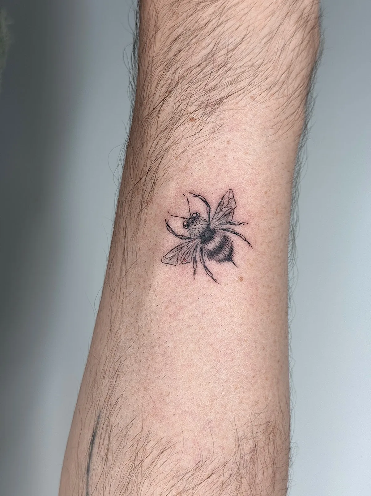 Tattoo by Jenxi | Vancouver Fineline Tattoo Artist at Jenxi | Vancouver Fineline Tattoo Artist